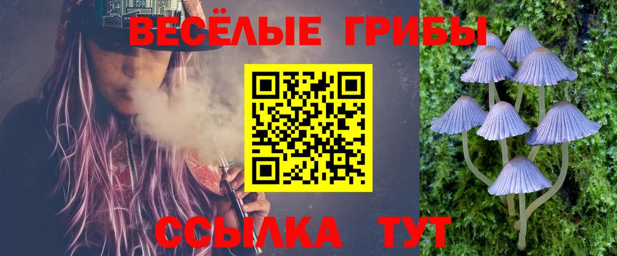 Псилоцибиновые грибы Magic Shrooms Городец
