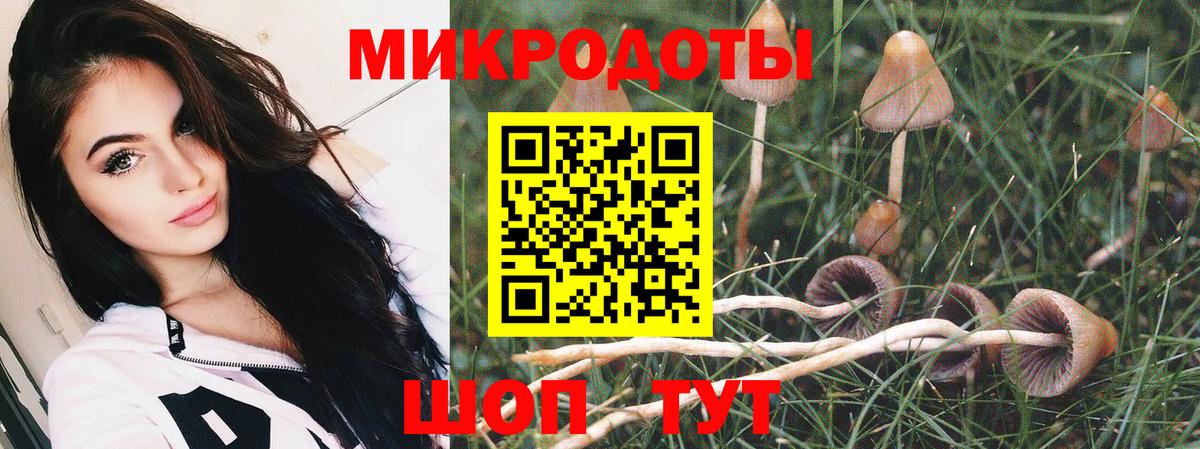 Псилоцибиновые грибы Cubensis  цена   Городец  Вход с VPN 